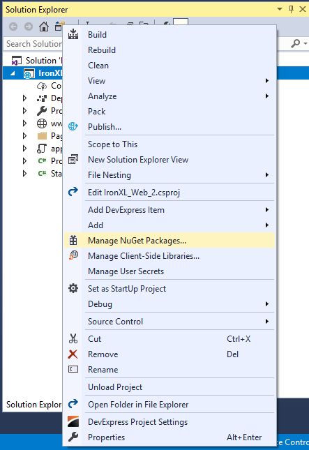 Solution Explorer related to 3.2. Visual Studio