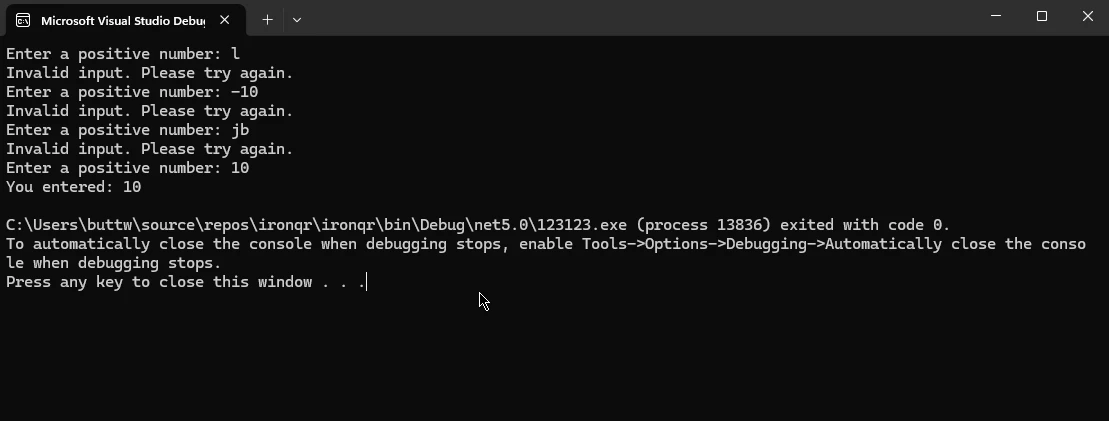 C# While (How It Works For Developers): Figure 2 - Input Validation Output