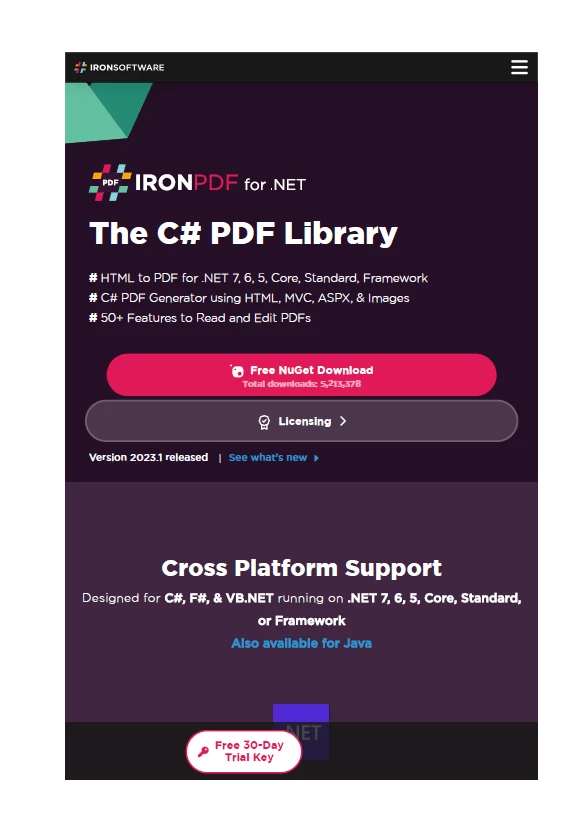 A Comparison between IronPDF and ExpertPDF for .NET: Figure 11:  URL to PDF Output