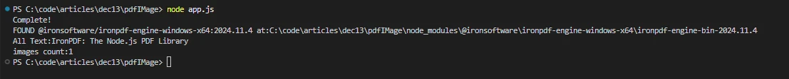 How to Extract Images From PDF in Node.js: Figure 2 - Console Output