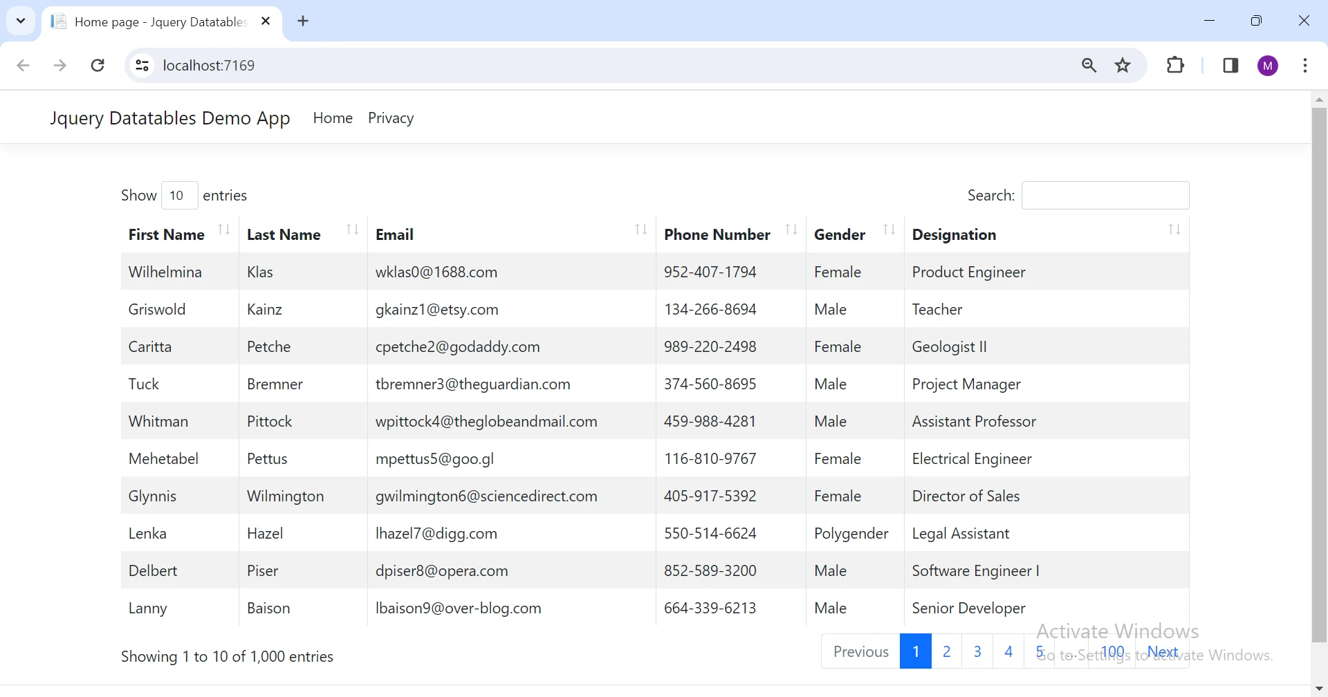 jQuery DataTables Output