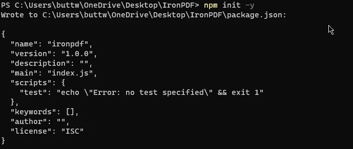 Node PDF SDK (Developer Tutorial), Figure 2: Init a package.json file