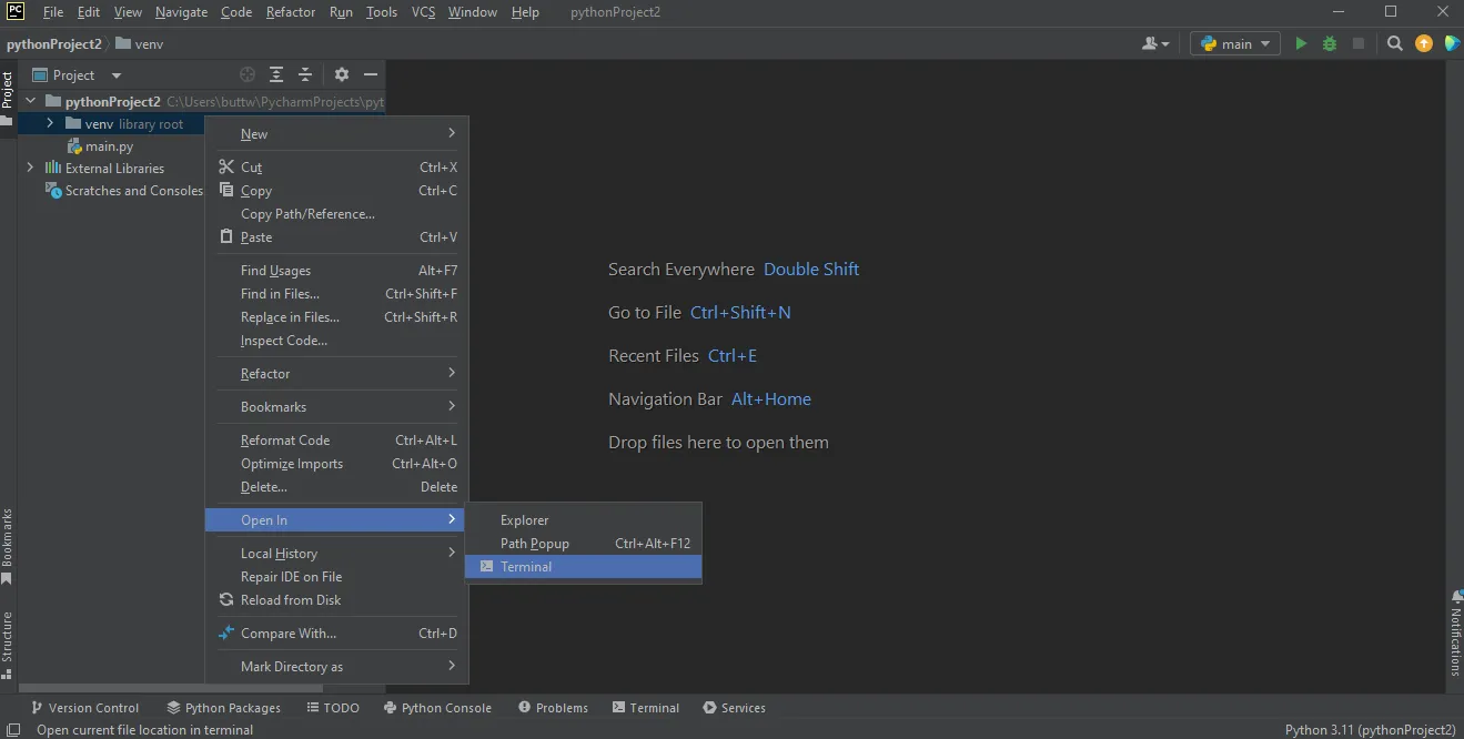 How to Open A PDF File in Python, Figure 1: Open Terminal in PyCharm