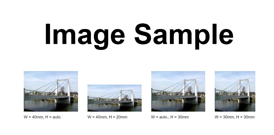 A Comparsion Between Report .NET & IronPDF: Figure 13 - Output PDF: Embedding images into PDF documents using Report.NET